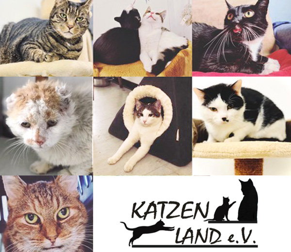 Katzenland e.V.