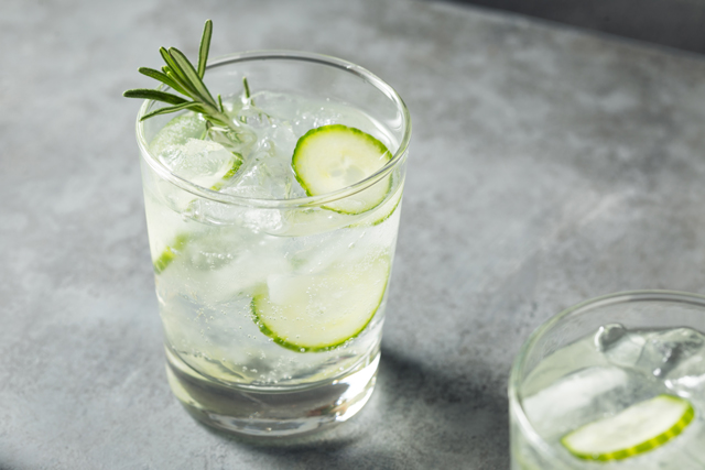 Gin Tonic Gin Tonic