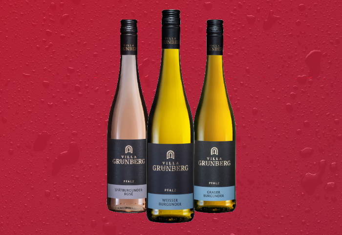 villa-gruenberg_700x482 villa-gruenberg_700x482