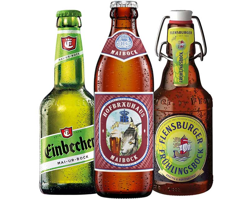 Auswahl an Maibock und Frühlingsbock bei GH (GH) FLENSBURGER Frühlingsbock, HOFBRÄUHAUS MAIBOCK und Einbecker Mai-Ur-Bock
