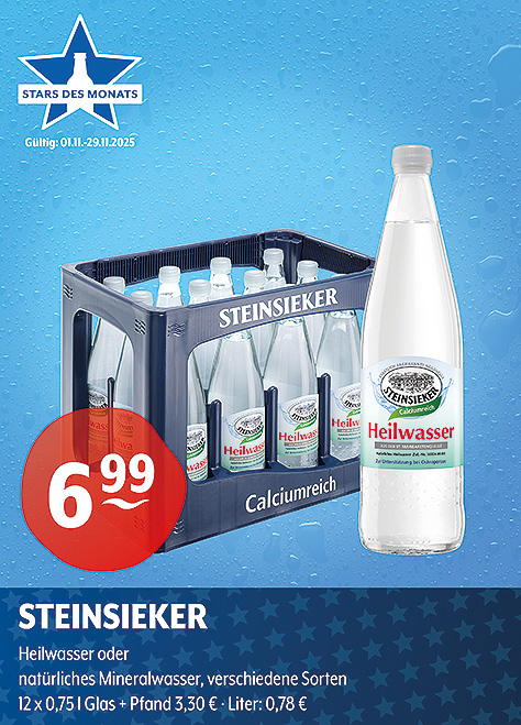 Steinsieker