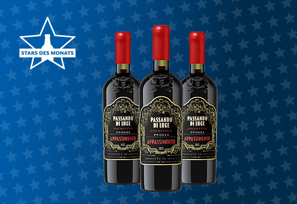 Passando di Luce Primitivo Appassimento