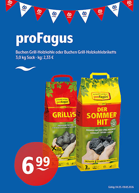 ProFagus Holzkohle