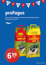ProFagus Holzkohle