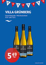 Villa Grünberg