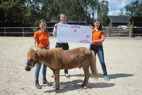 Verein für den tierischen Ruhestand