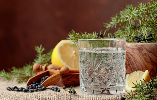 Wacholder und Gin – das perfekte Match
