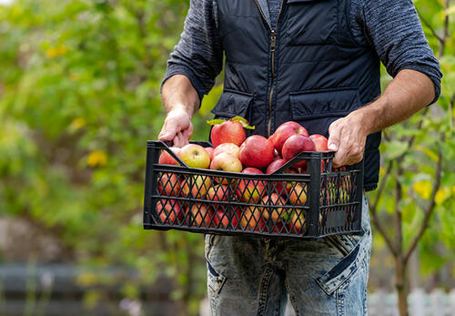 Möglichst lange Transportwege vermeiden durch regionale Verarbeitung der Produkte