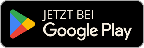 Google Play Store Icon