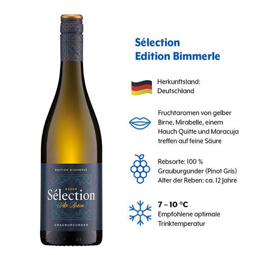 Geschmacksprofil von Terra Solis Grauer Burgunder mit den Kategorien Herkunftsland, Geschmack, Rebsorte und Trinktemperatur