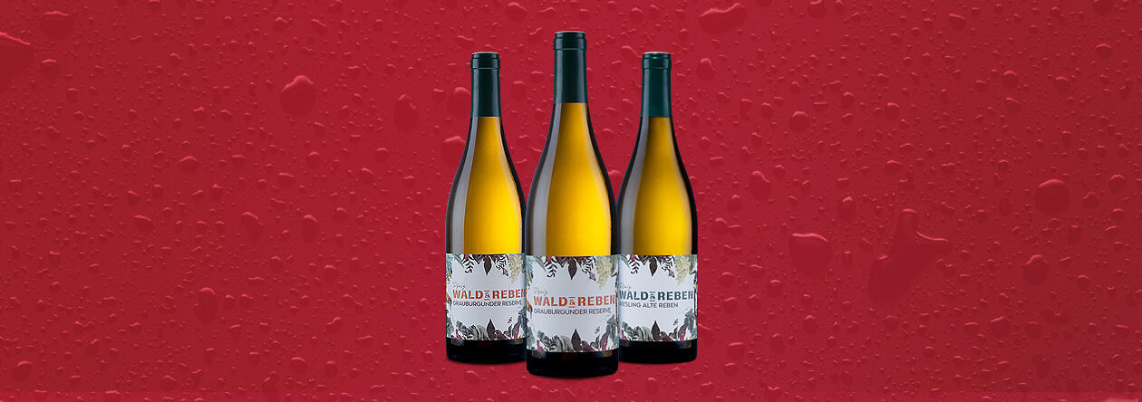 Wald &amp; Reben