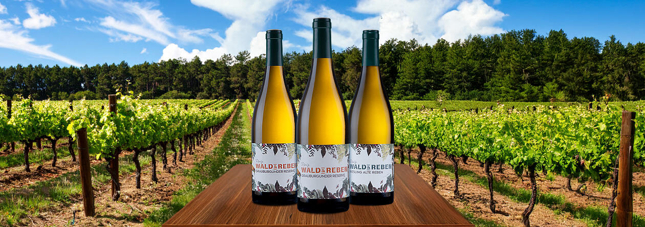 Wald &amp; Reben