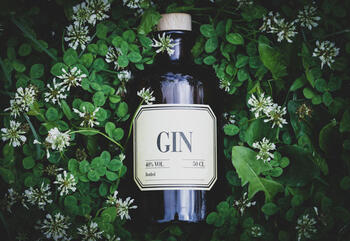 Gin wurde als Magen-Medizin erfunden und erlebte seinen ersten Hype als günstiger Fusel.