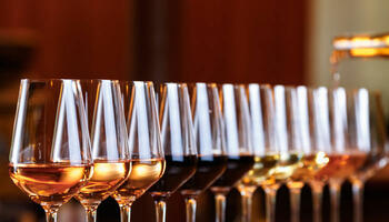 Jede Weinprobierstation von Getränke Hoffmann bietet gleich mehrere Weine zur Verkostung.