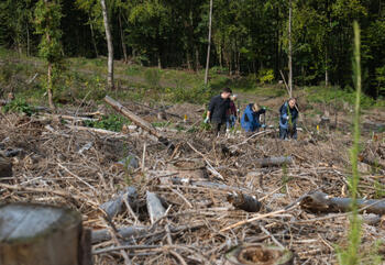 profagus Baumpflanzaktion mit Getränke Hoffmann