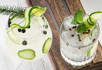 Ob pur oder als Gin Tonic – Gin ist immer eine gute Wahl