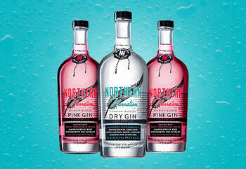 verschiedene Sorten von NORTHERN Narration